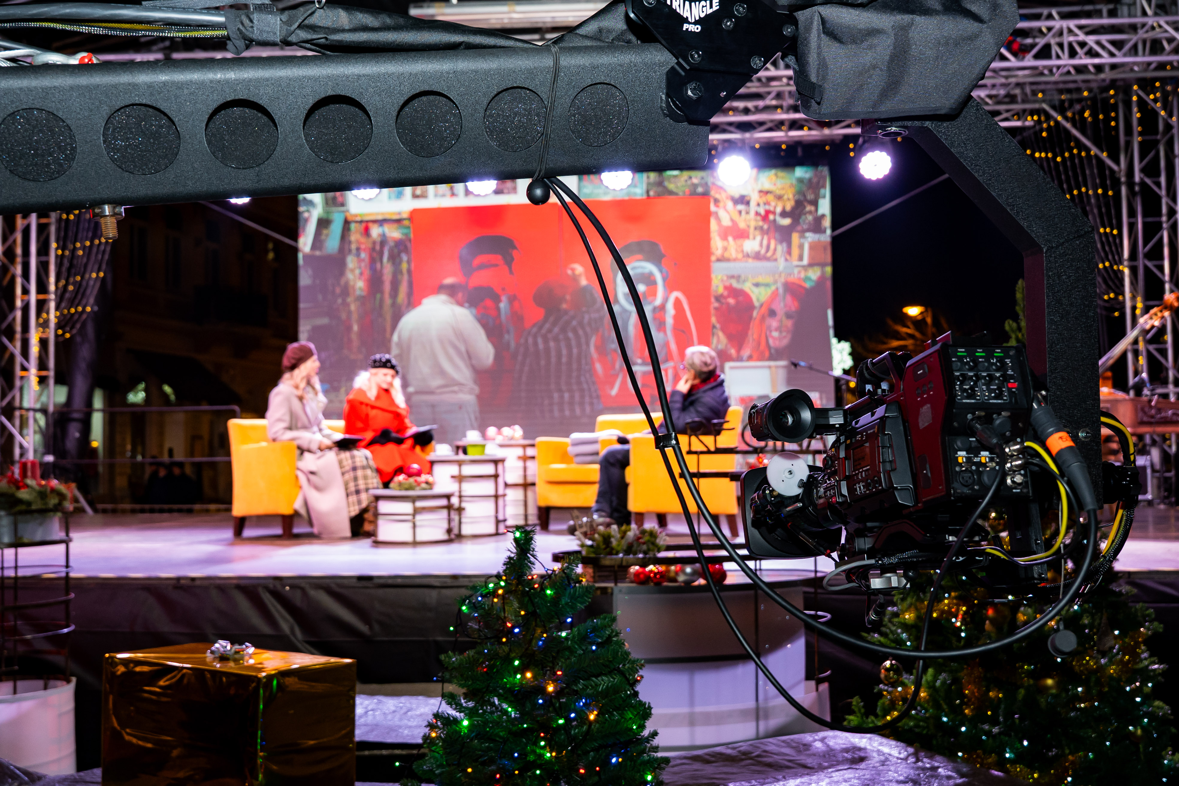 VIANOCNA TELEVIZNA REGINA-10